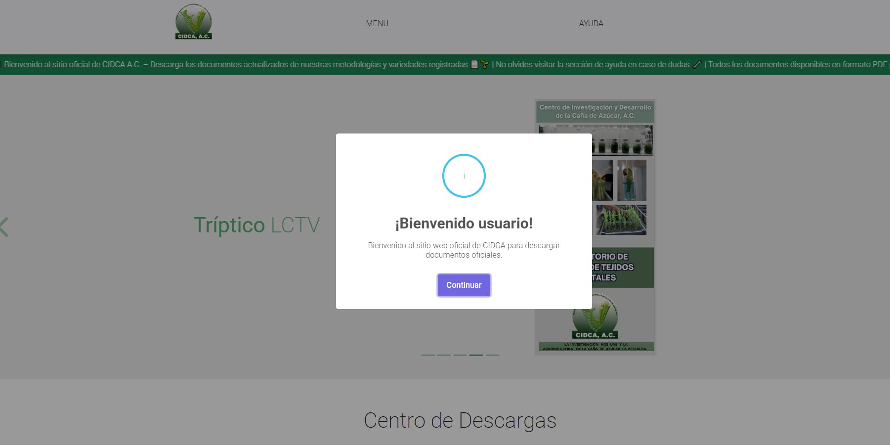 PAGINA WEB
